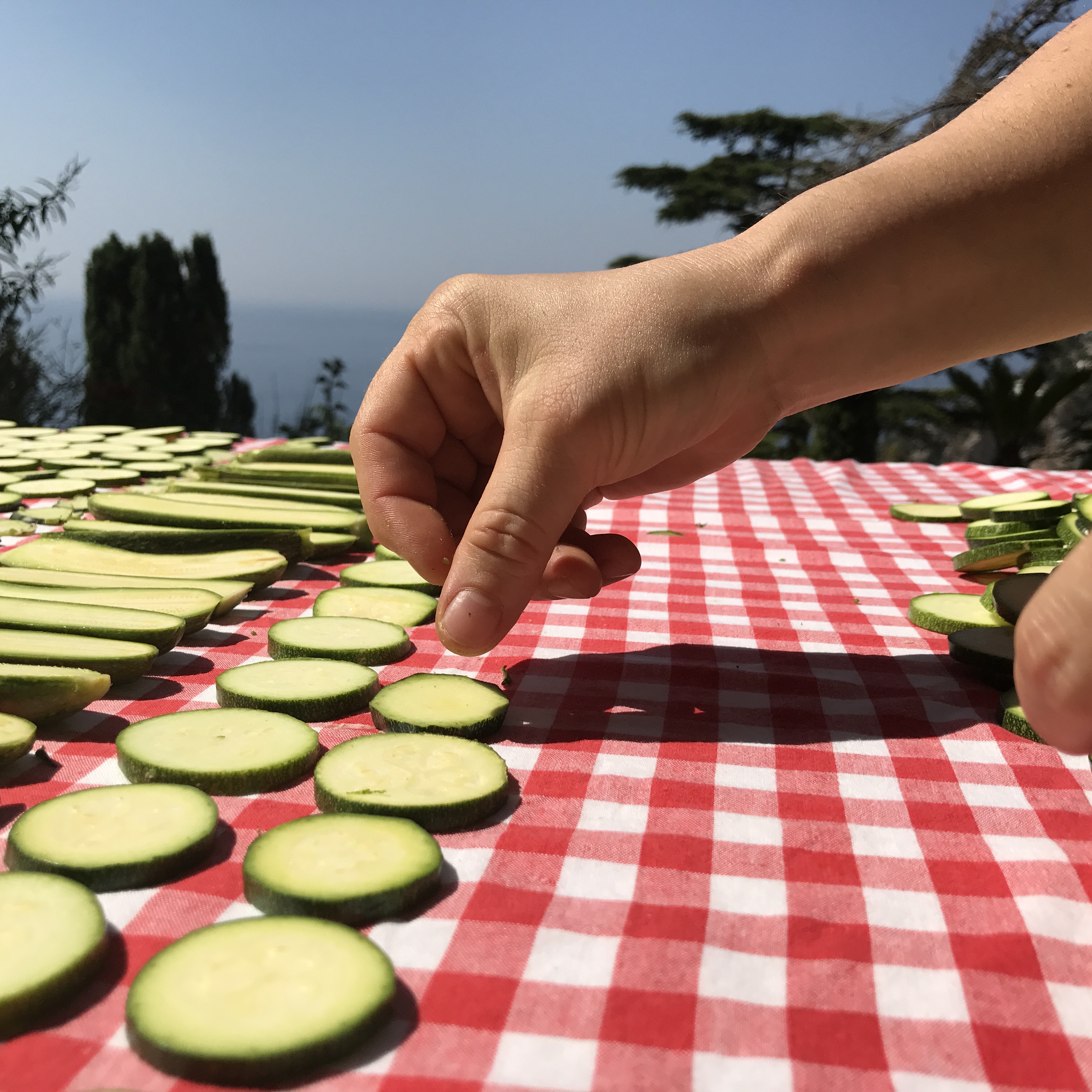 Zucchine alla Scapece